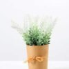 17CM Lavender in PaPer wraP Pot GS-0339749
