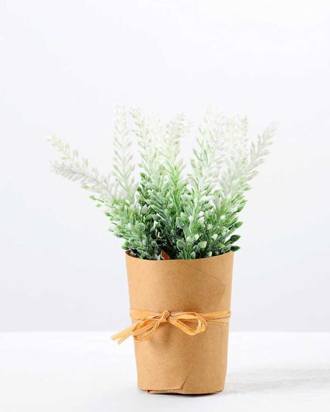 17CM Lavender in PaPer wraP Pot GS-0339749