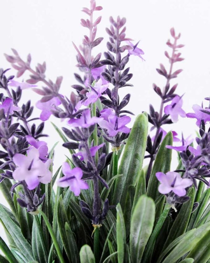 19CM Lavender in metal Pot GS-0339752