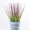Onion grass in Metal pot GS-0339786