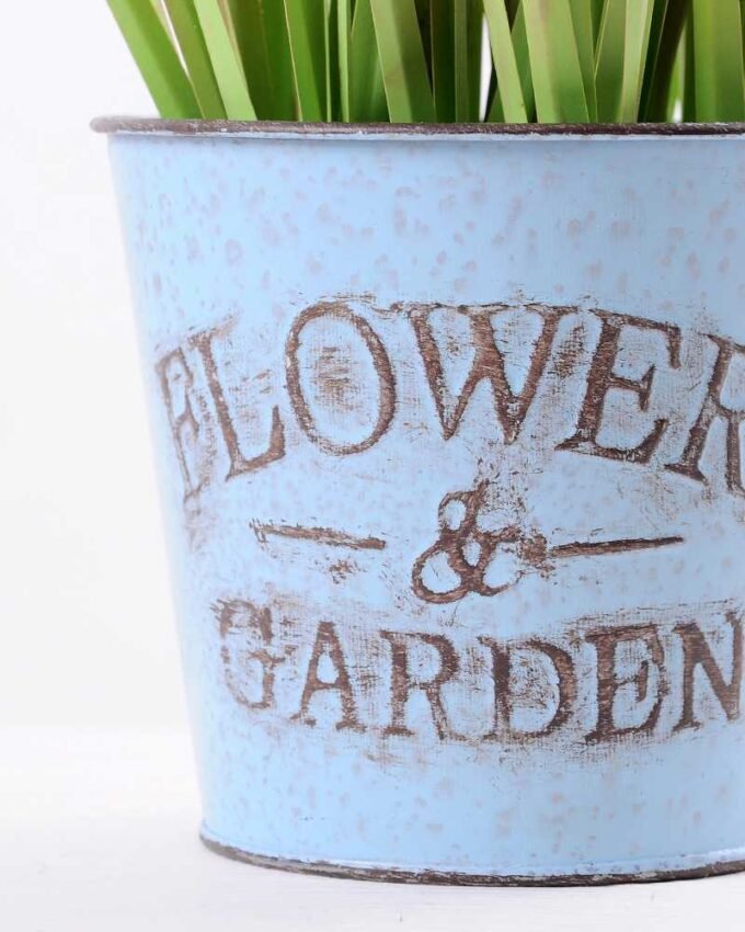 Onion grass in Metal pot GS-0339786