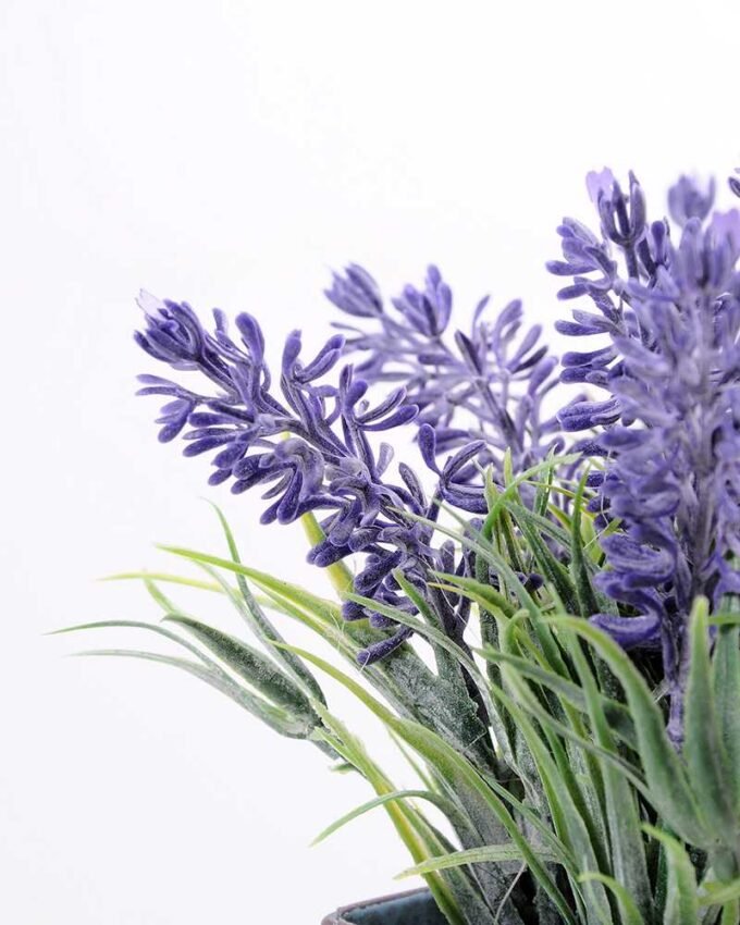 H:15cm Lavender in Metal pot GS-0339789