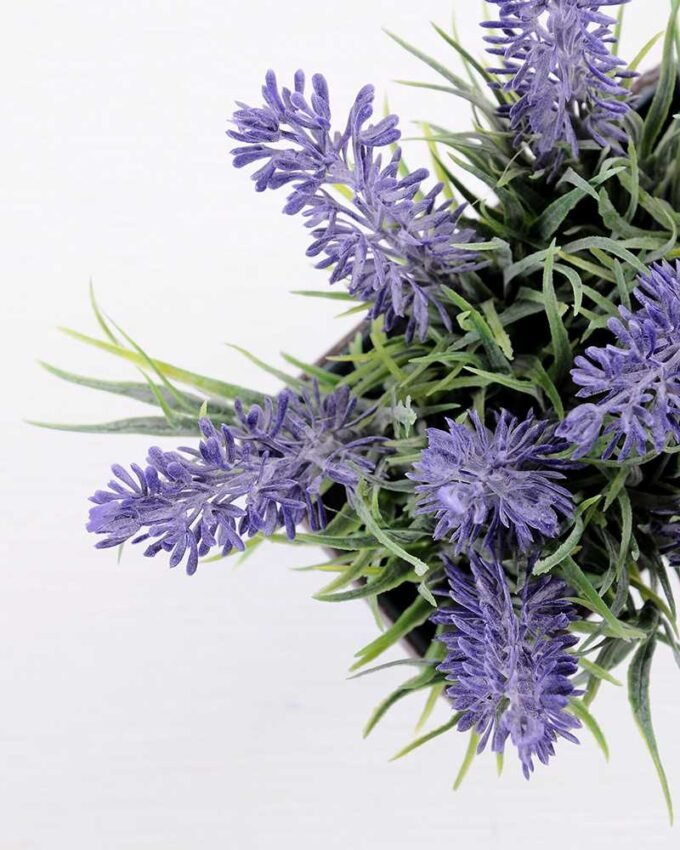 H:15cm Lavender in Metal pot GS-0339789