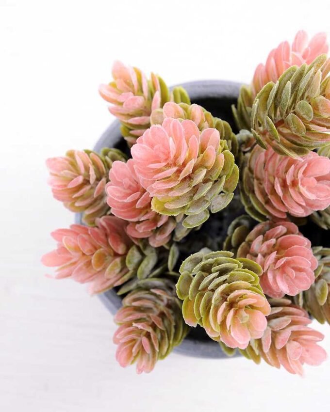 Plastic pinecone in Paper pulp pot GS-0339790 3 Plastic pinecone in Paper pulp pot GS-0339790