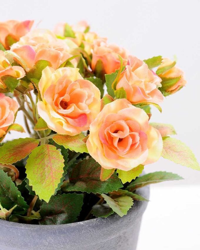 Mini rose in Paper pulp pot GS-0339791