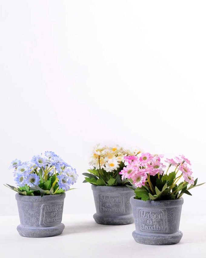 Mun in Paper wrap pot GS-0339792