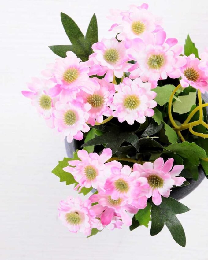 Mun in Paper wrap pot GS-0339792