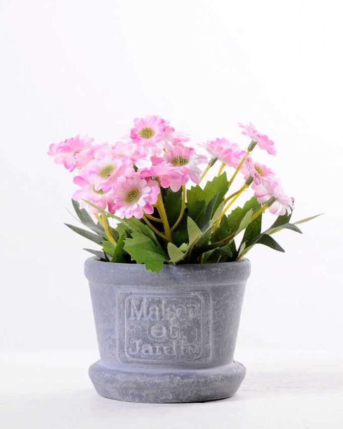Mun in Paper wrap pot GS-0339792