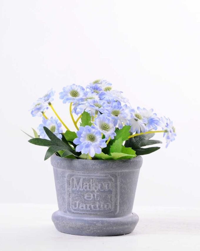 Mun in Paper wrap pot GS-0339792