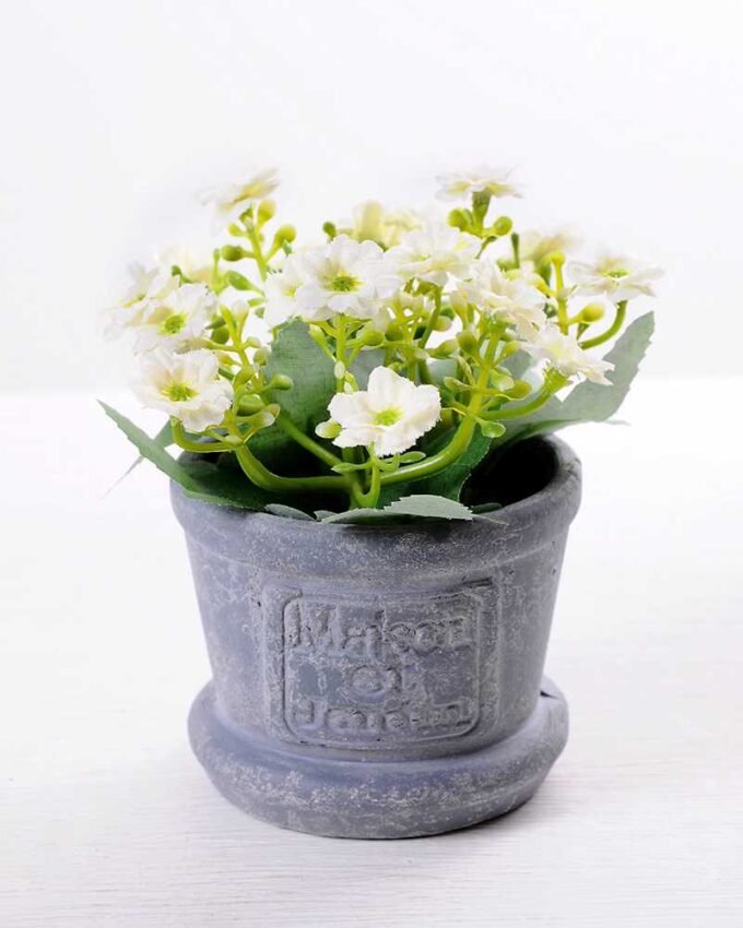 Min flower in Paper wrap pot GS-0339793