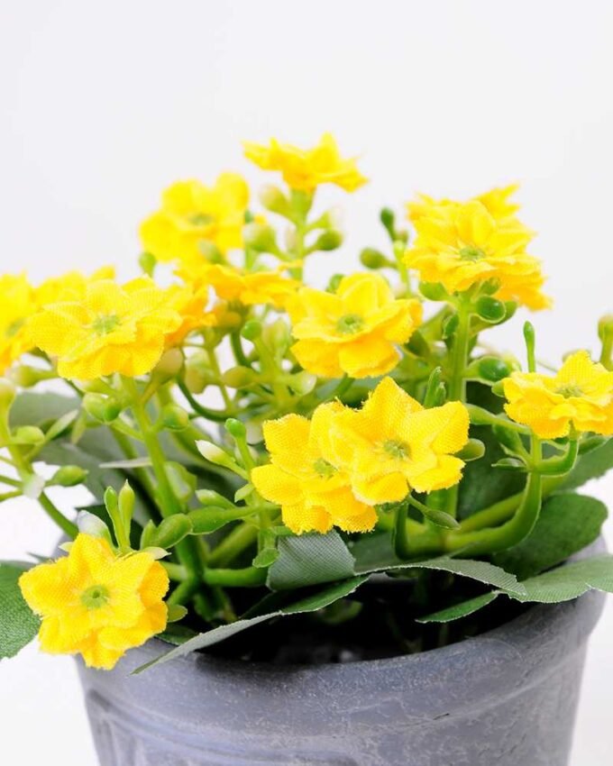 Min flower in Paper wrap pot GS-0339793