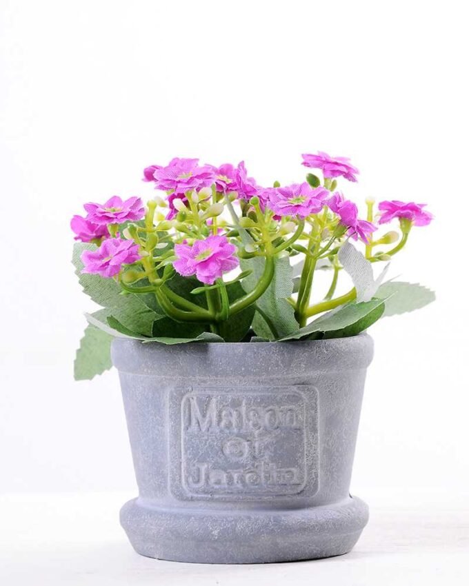 Min flower in Paper wrap pot GS-0339793