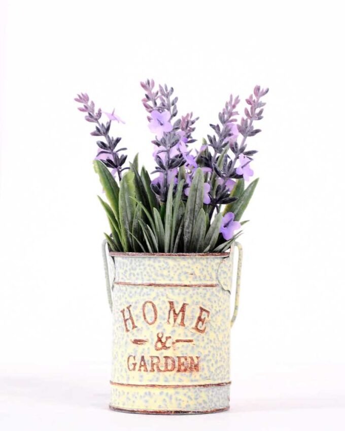Lavender in Metal pot GS-0339798