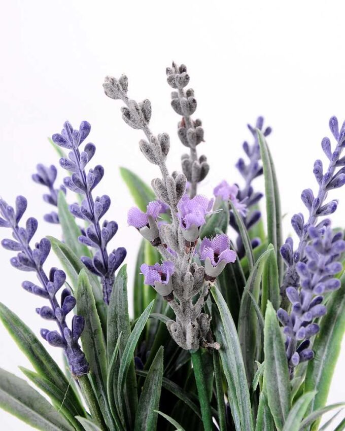 H:19cm Lavender in Metal pot GS-0339799