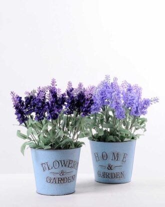 Lavender in Metal pot GS-0339803