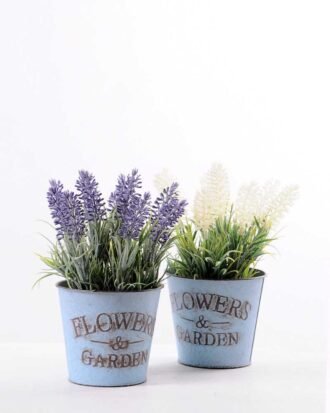 H:22cm Lavender in Metal pot GS-0339804