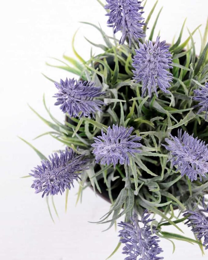 H:22cm Lavender in Metal pot GS-0339804 3 H:22cm Lavender in Metal pot GS-0339804