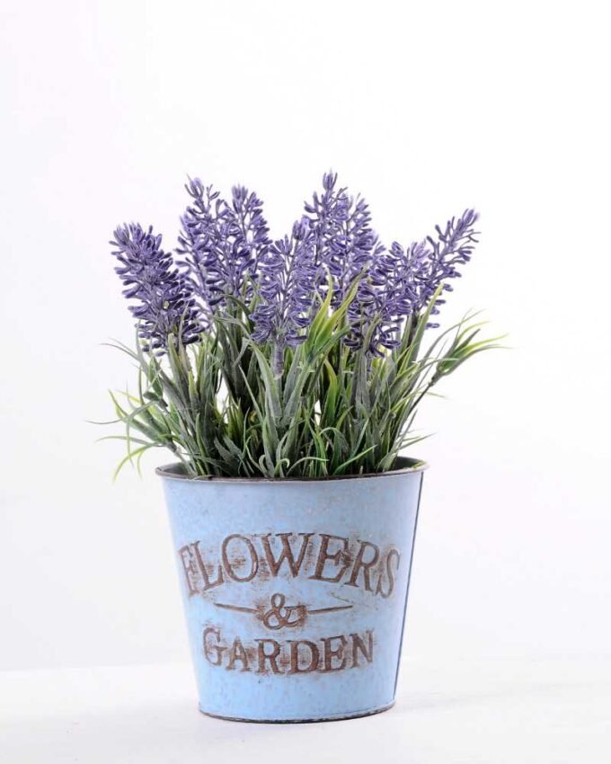 H:22cm Lavender in Metal pot GS-0339804 5 H:22cm Lavender in Metal pot GS-0339804