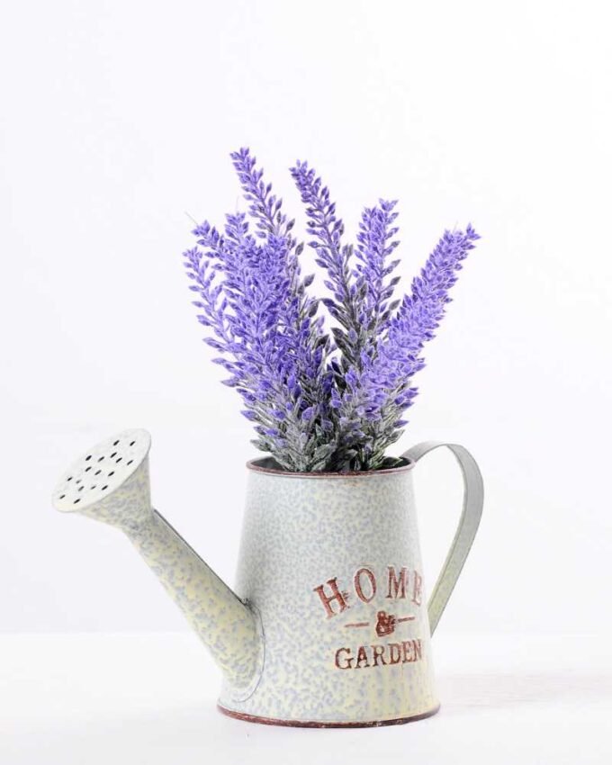 Lavender in Metal watering can GS-0339807