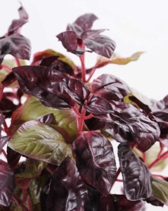 Pepper leaf in Ceramic pot GS-0339812