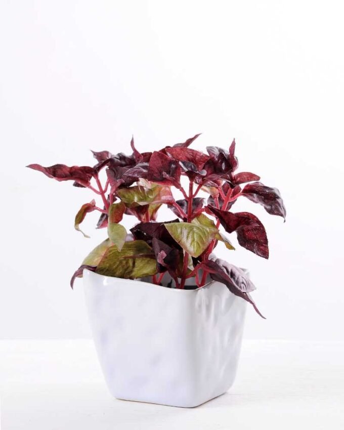 Pepper leaf in Ceramic pot H:15CM GS-0339813