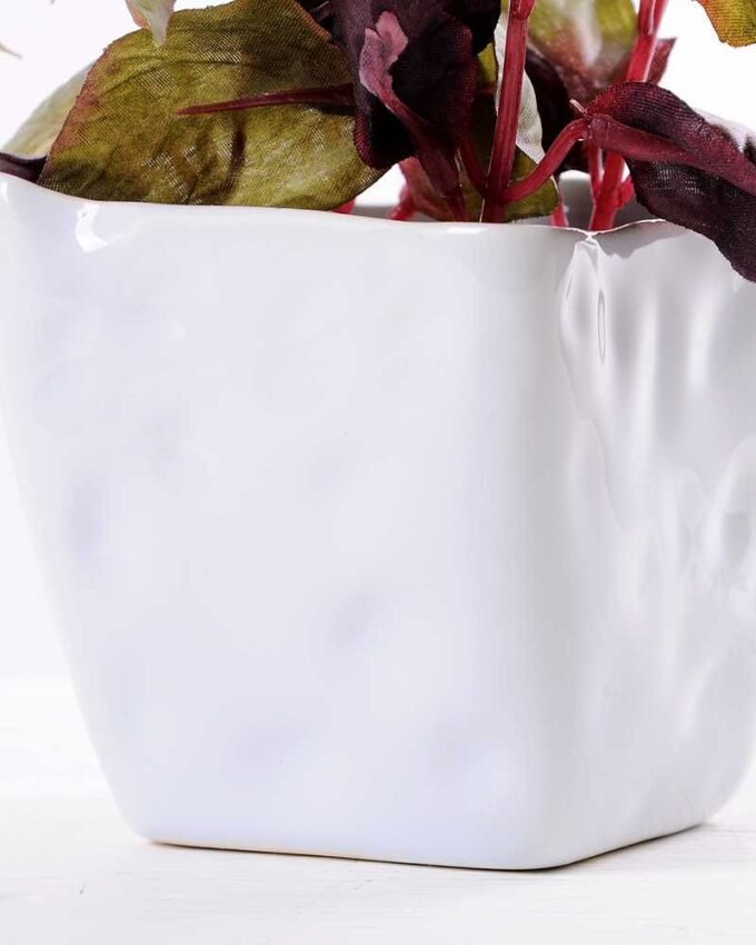 Pepper leaf in Ceramic pot H:15CM GS-0339813