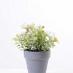 Mini flower in Paper wrap pot GS-0339816