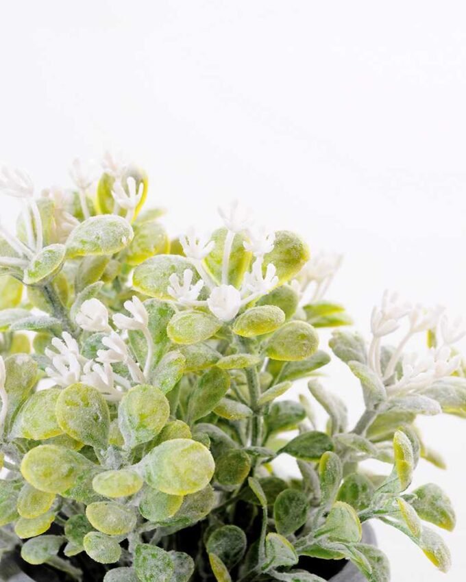 Mini flower in Paper wrap pot GS-0339816