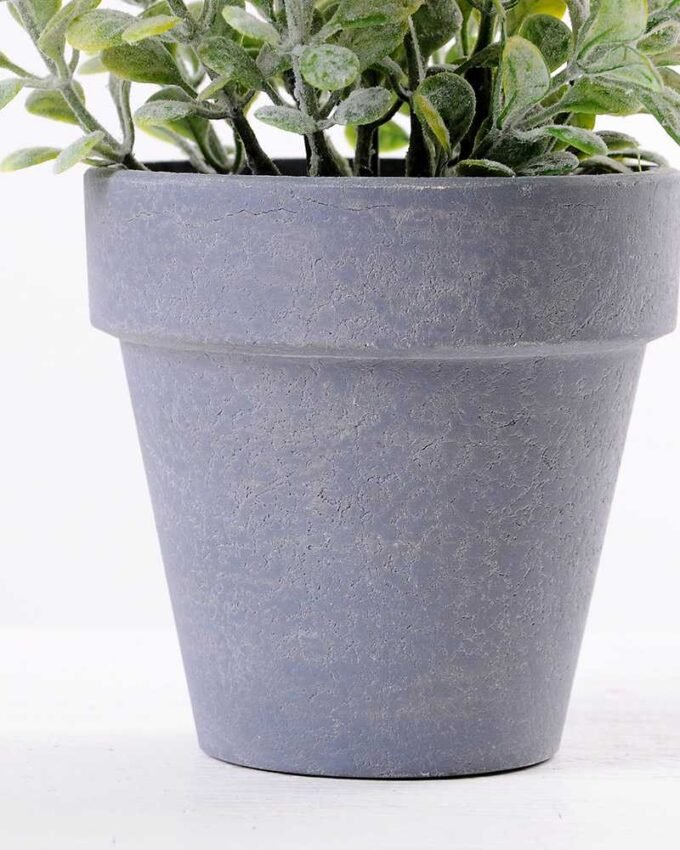 Mini flower in Paper wrap pot GS-0339816