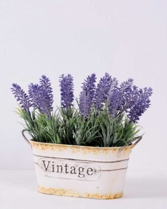 H:22cm Lavender in Metal pot GS-0339818