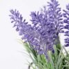 H:22cm Lavender in Metal pot GS-0339818