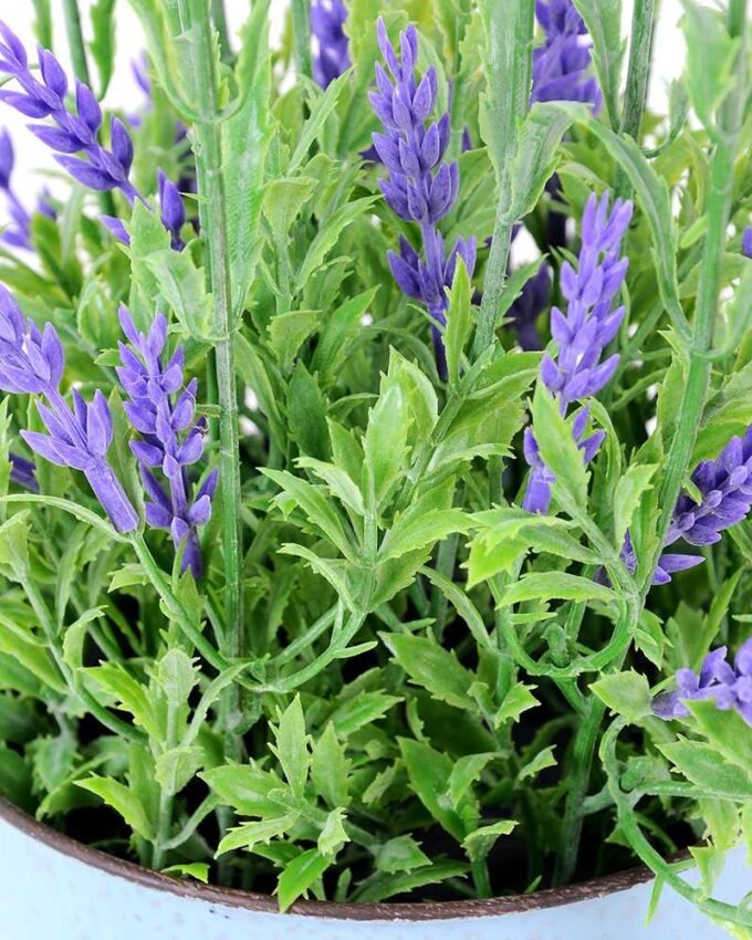 Lavender in Metal pot GS-0339819 4 Lavender in Metal pot GS-0339819