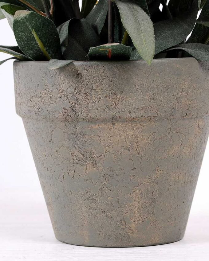 25CM Rose in Glass ware GS-0339824