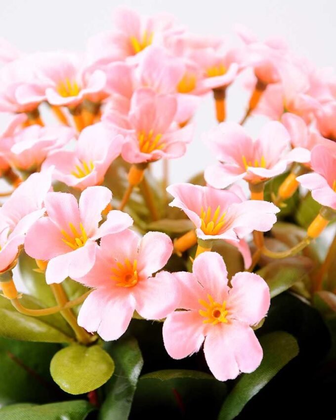 Rhododendron   in  metal pot GS-0339849