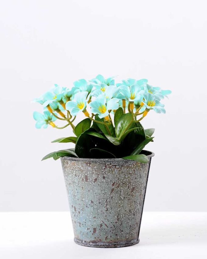 Rhododendron   in  metal pot GS-0339850