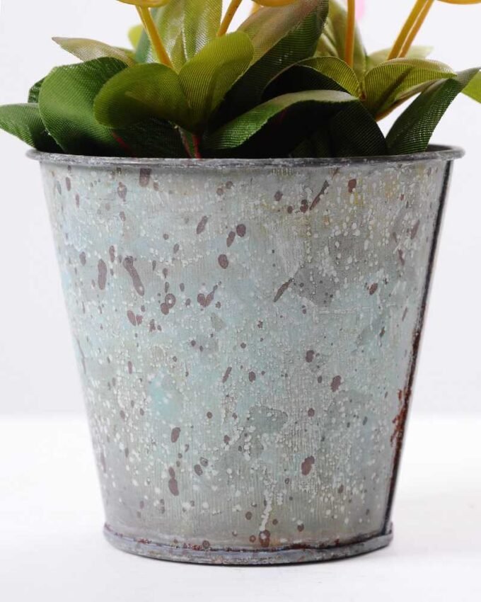 Rhododendron   in  metal pot GS-0339850