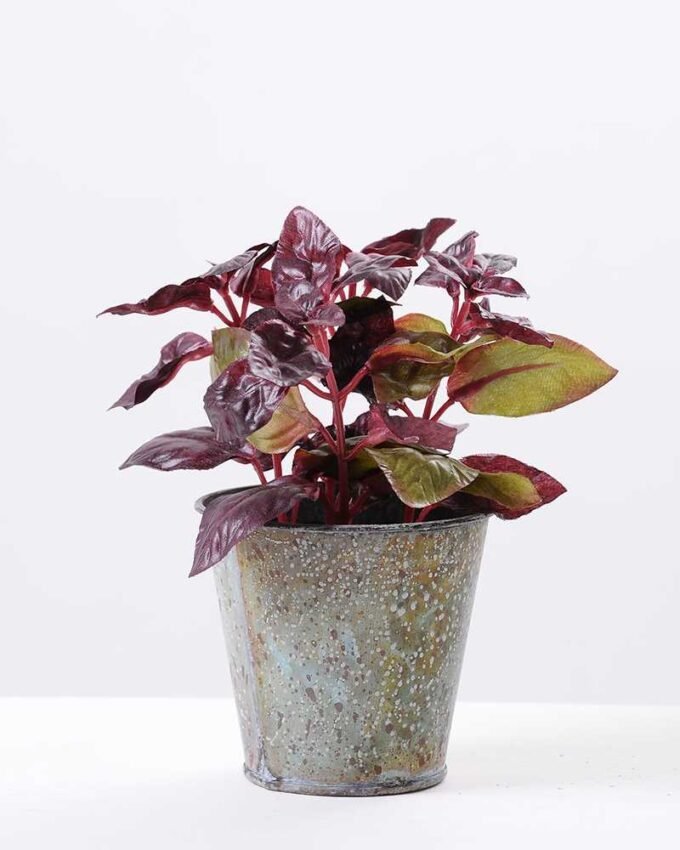 leaf  in  metal pot GS-0339852