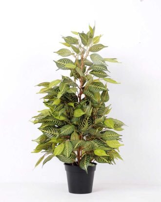 63cm Zebra bonsai GS-0339859