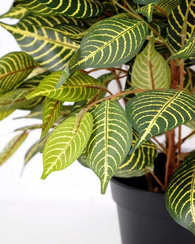 63cm Zebra bonsai GS-0339859