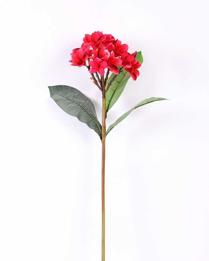 34*87cm Single Plumeria GS-0400002
