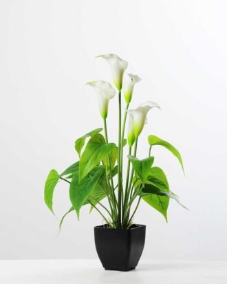 CALLA BUSH X5 W/POT GS-0450140