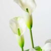 CALLA BUSH X5 W/POT GS-0450140 2 CALLA BUSH X5 W/POT GS-0450140