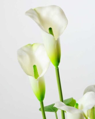 CALLA BUSH X5 W/POT GS-0450140