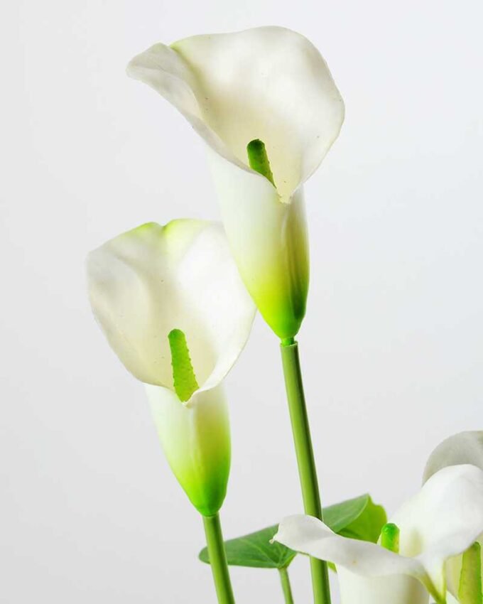 CALLA BUSH X5 W/POT GS-0450140 2 CALLA BUSH X5 W/POT GS-0450140