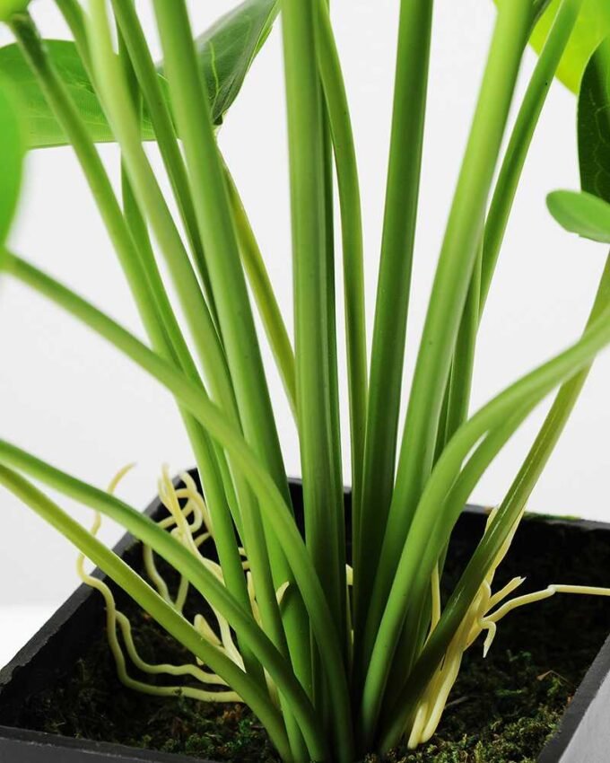 CALLA BUSH X5 W/POT GS-0450140 4 CALLA BUSH X5 W/POT GS-0450140