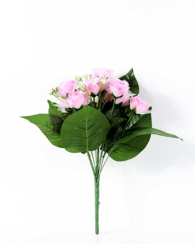 ROSE BUSH*12 GS-0550246