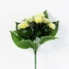 ROSE BUSH*12 GS-0550246