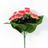 ROSE BUSH*12 GS-0550246