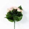 ROSE BUSH*12 GS-0550246