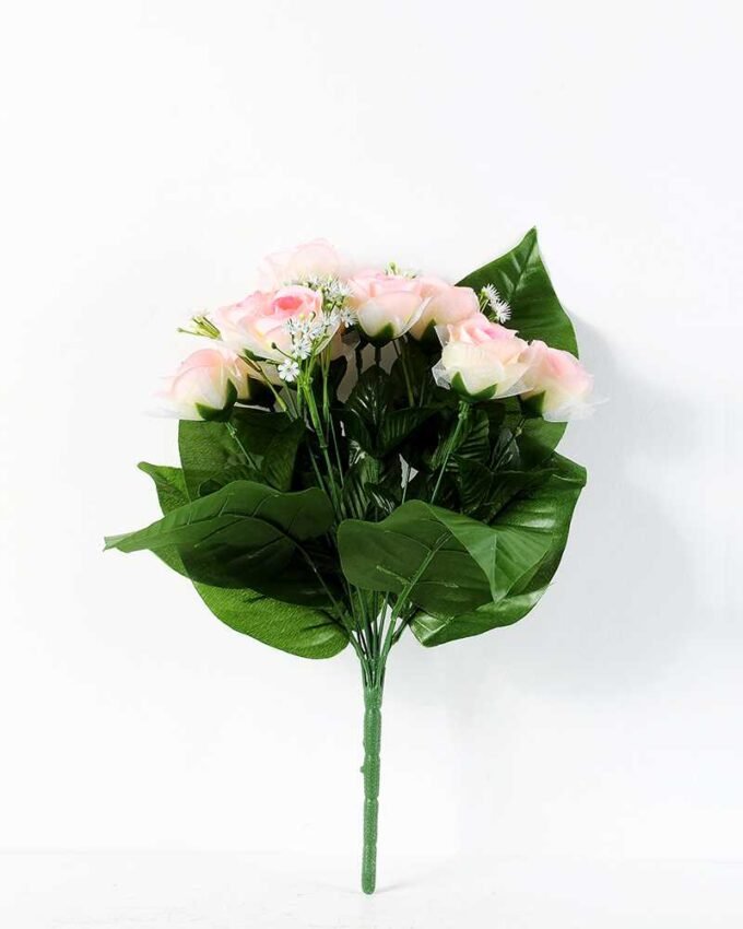 ROSE BUSH*12 GS-0550246